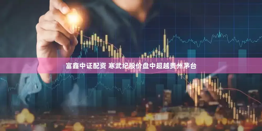 富鑫中证配资 寒武纪股价盘中超越贵州茅台